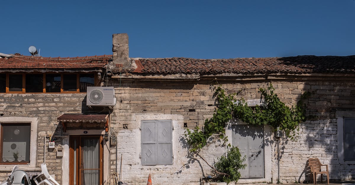 Biomass Heating for Passive Houses